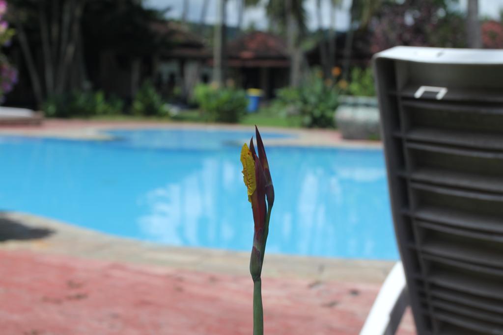 Kuta Indah Hotel Extérieur photo
